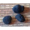 Fekete szarvasgomba. friss szarvasgomba. tuber melanosporum. vásárol. eladás. ár