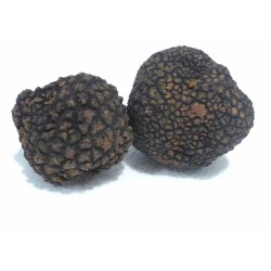 Summer truffles